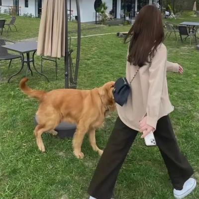 女大生道顺